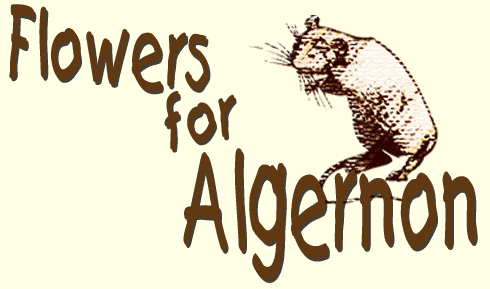 Flowers for algernon essay