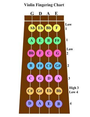 Viola Chart