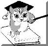 image of owl 