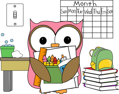 owl 