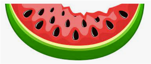 watermelon
