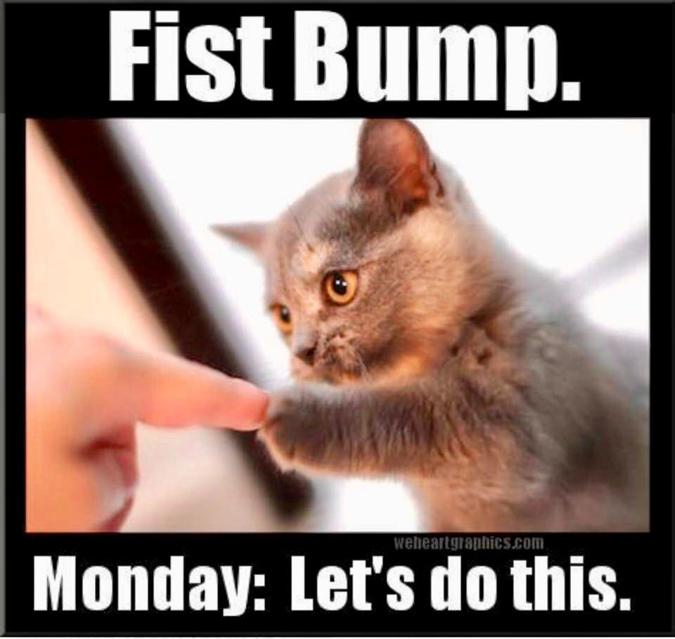 monday monday