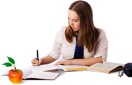 assessment 