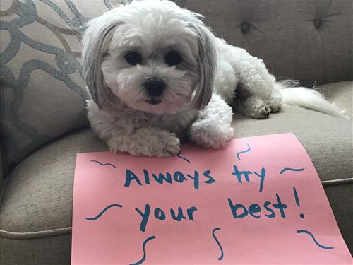 Always try your best! 