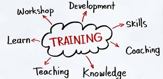 Training Training