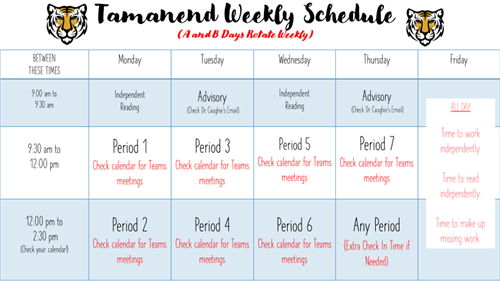 TMS DL Schedule 