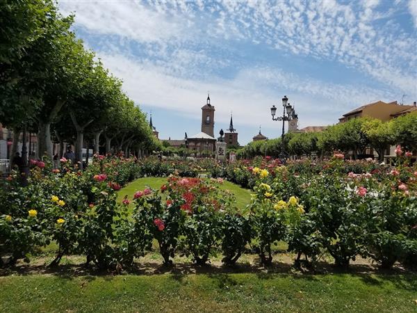 Alcala, España