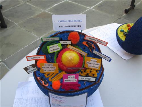 cell project 
