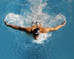 swim fly 