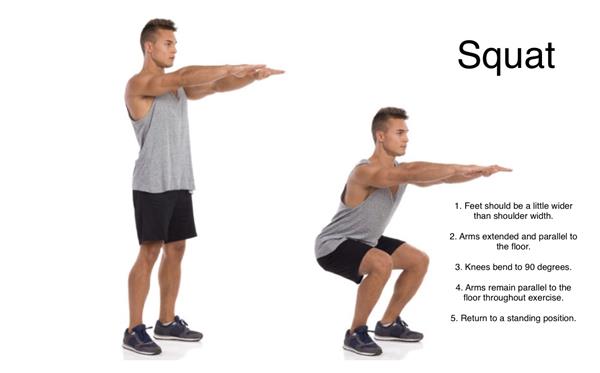 Squats Squats