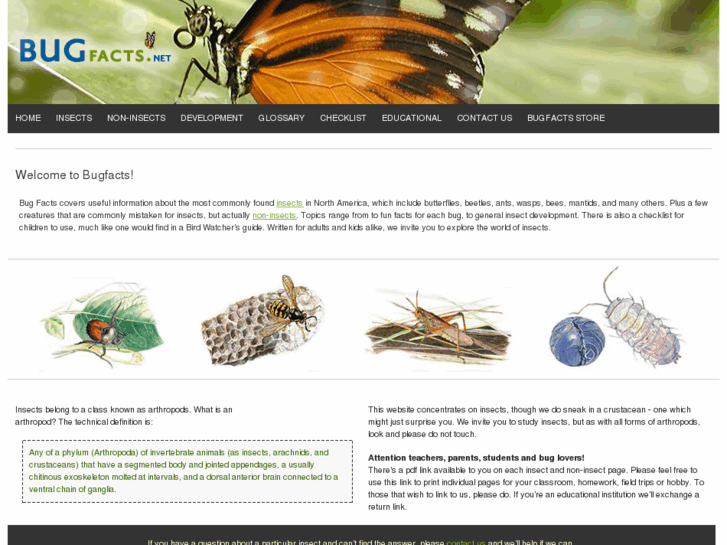 bugs2 