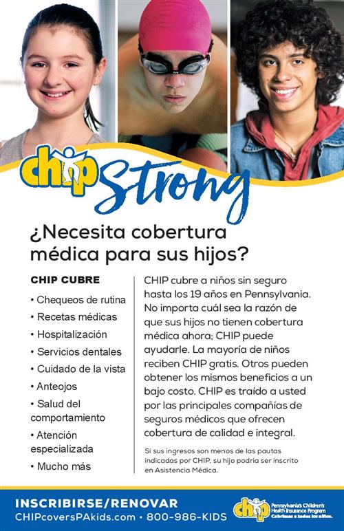 CHIP flyer Spanish CHIP flyer Spanish