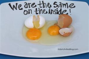 egg 