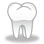 tooth 