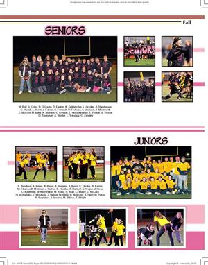 Powder Puff 2 