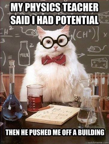 Cat with Potential 
