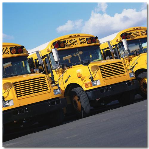 Image of buses in a line. 