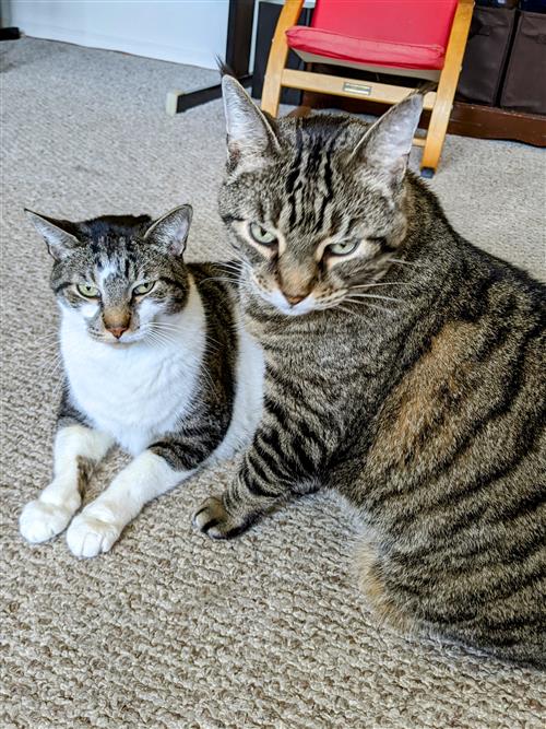 Q and Spock
