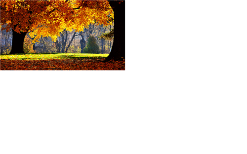 Fall 