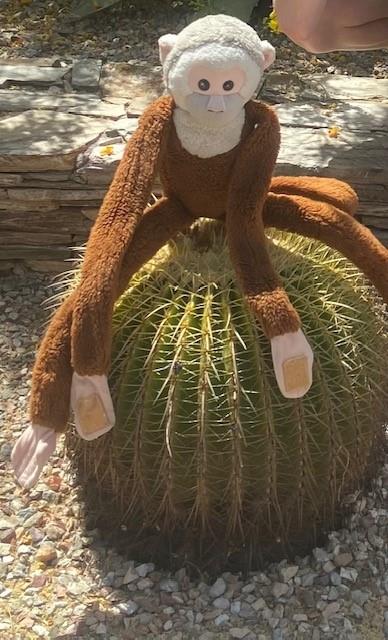 I had quite a prickly experience with L.M. out in Phoenix, AZ!
