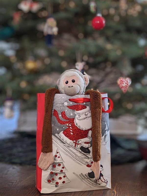 I was on the Nice List this year, so I got to spend Christmas with A.L.!